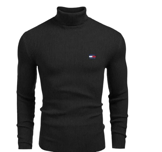 Men's Turtleneck Sweater Tommy